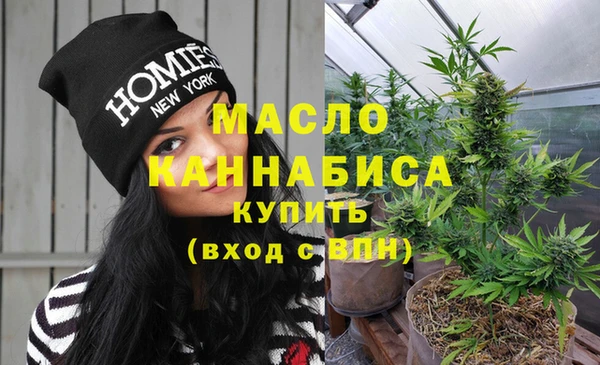 дмт Алексин
