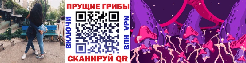 закладки  ссылка на мегу маркетплейс  Псилоцибиновые грибы Magic Shrooms  Олонец 